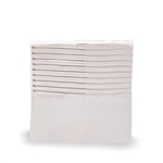 Liz's Light: C6 White Stoneware Clay w Grog 50Lb Box: Delivered Price