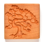 MKM Stamps4Clay - Large Square #54 (Pine Bonsai)