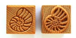 MKM Stamps4Clay - Medium Square #121 (Ammonite)