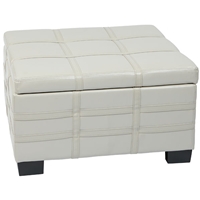 Detour Strap Storage Ottoman with Tray