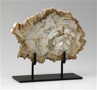 Petrified Wood Sculpture