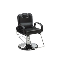 Vance All-Purpose Styling Chair