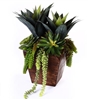 Wood Succulent Planter