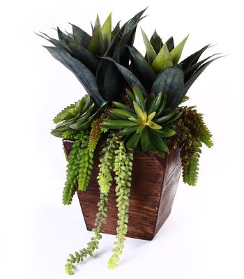 Wood Succulent Planter