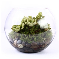 Bubble Glass Succulent Planter