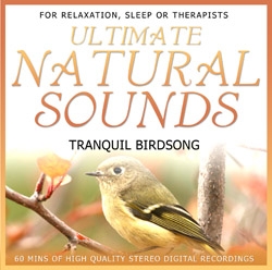 Tranquil Birdsong - Natural Sounds