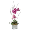 Kaleama Orchids, Fuschia