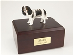 King Charles Spaniel