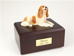 King Charles Spaniel, Brn