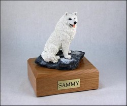 Samoyed