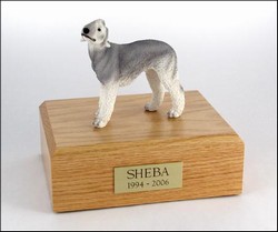 Bedlington Terrier, Gray