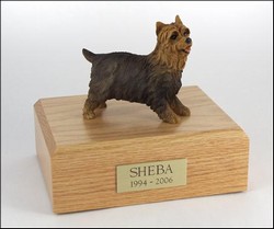 Yorkshire Terrier, Standing