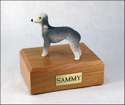 Bedlington Terrier