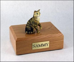 Cat Urn, Tabby, Brn, Shorthair, Sitting