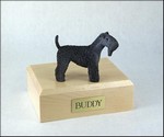 Kerry Blue Terrier