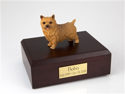 Norwich Terrier