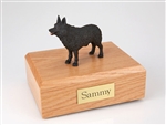 Schipperke