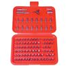 PROF SCREWDRIVER BIT SET 100 PC.