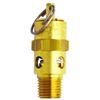 Milton Industries MILS1090-200 - ASME Safety Valve