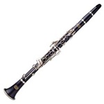 Rent-To-Own Yamaha Clarinet YCL250, 255 Instrument Rental