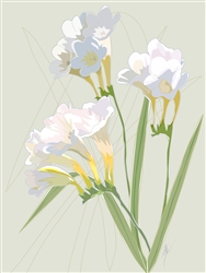 FREESIAS