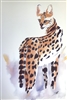 SERVAL PRINT 1