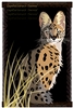 SERVAL