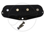 A Pickup kit for the 1951 Spec P Bass