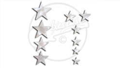 Pearloid Star Fret Markers