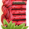 Bis Sock Ladybug (Coccinelle)