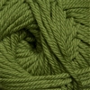 220 Superwash Merino 010 Dark Moss (Discontinued)