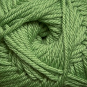 220 Superwash Merino 017 Green Tea