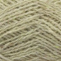 Spindrift Lichen 1130