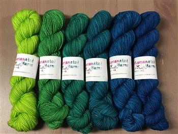 Scrumptious HT 1/2 Skein Gradients Fairytale (Final Sale)