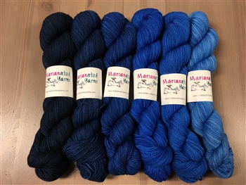 Scrumptious HT 1/2 Skein Gradients Tangled up in Blues (Final Sale)