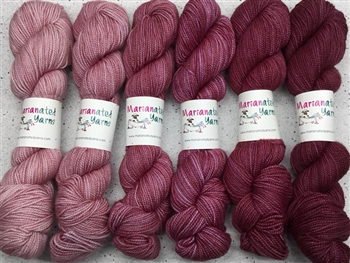 Scrumptious HT 1/2 Skein Gradients Uncorked (Final Sale)