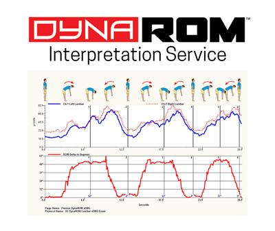 DynaROM Interpretation Service