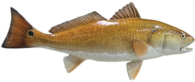 redfish fishmount