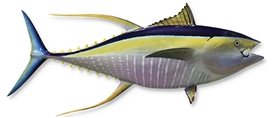 yellow fin tuna fishmount