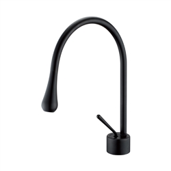 Aqua Infinity Single Lever  Faucet - Black