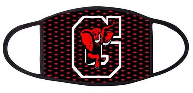 Gainesville Red Elephants Three Ply Mask