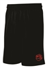 WJES Paw Panthers Shorts