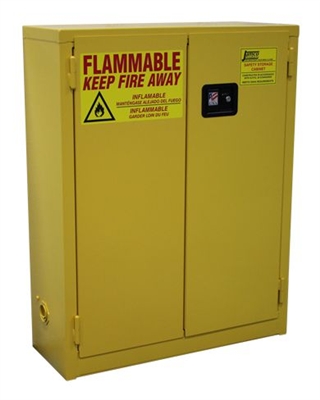 RG20 Wall Mounted Safety Flammable Cabinet