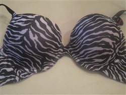 The Wild Zebra Double Padded Bra