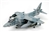 USMC Boeing AV-8B Harrier II Jump Jet - VMA-231 "Ace Of Spades", Operation Desert Storm, 1991 [Low-Vis Scheme]