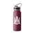 Alabama A&M 25oz Logo Stainless Single Wall Flip Top Bottle