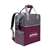 Mississippi State Backpack Cooler  