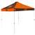 Cleveland Browns  Canopy Tent 9X9 Checkerboard