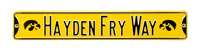 Iowa Hawkeyes Steel Street Sign with Logo-HAYDEN FRY WAY   