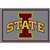 Iowa State University 4x6 Spirit Rug